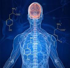Machine Learning Algorithm Using Logistic Regression and an Artificial Neural Network (ANN) for Early Stage Detection of Parkinson’s Disease  