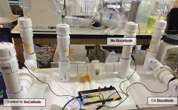 The Effect of Cobalt Biomineralization on Power Density in a Microbial Fuel Cell