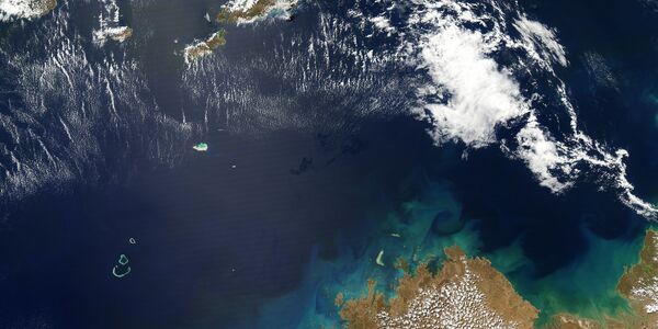 Genomic Signature Analysis for the Strategic Bioremediation of Polycyclic Aromatic Hydrocarbons in Mangrove Ecosystems in the Gulf of Tonkin