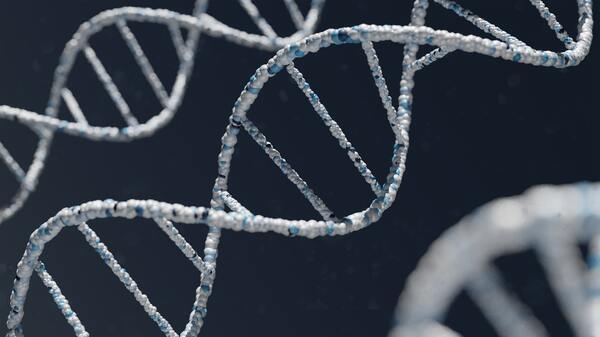 Can the nucleotide content of a DNA sequence predict the sequence accessibility?