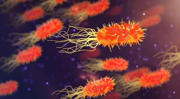 The effects of the cancer metastasis promoting gene <i>CD151</i> in <i>E. coli</i>