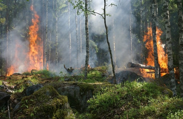 Utilizing meteorological data and machine learning to predict and reduce the spread of California wildfires