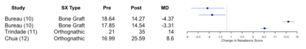 Effects of alveolar bone grafts vs. orthognathic surgery on cleft palate speech nasalance: a meta-analysis