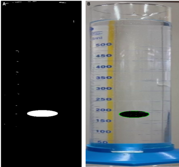 Calculating the dynamic viscosity of a fluid using image processing of a falling ball
