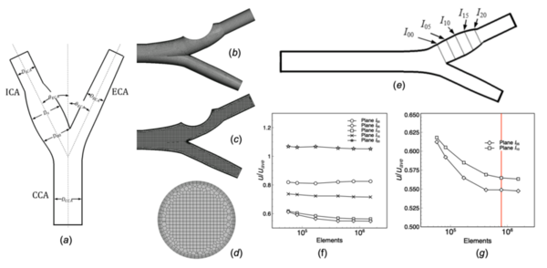 Study of PINN sensor layout in evaluating WSS with application to patient-specific carotid flow
